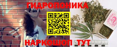 крисы Ипатово